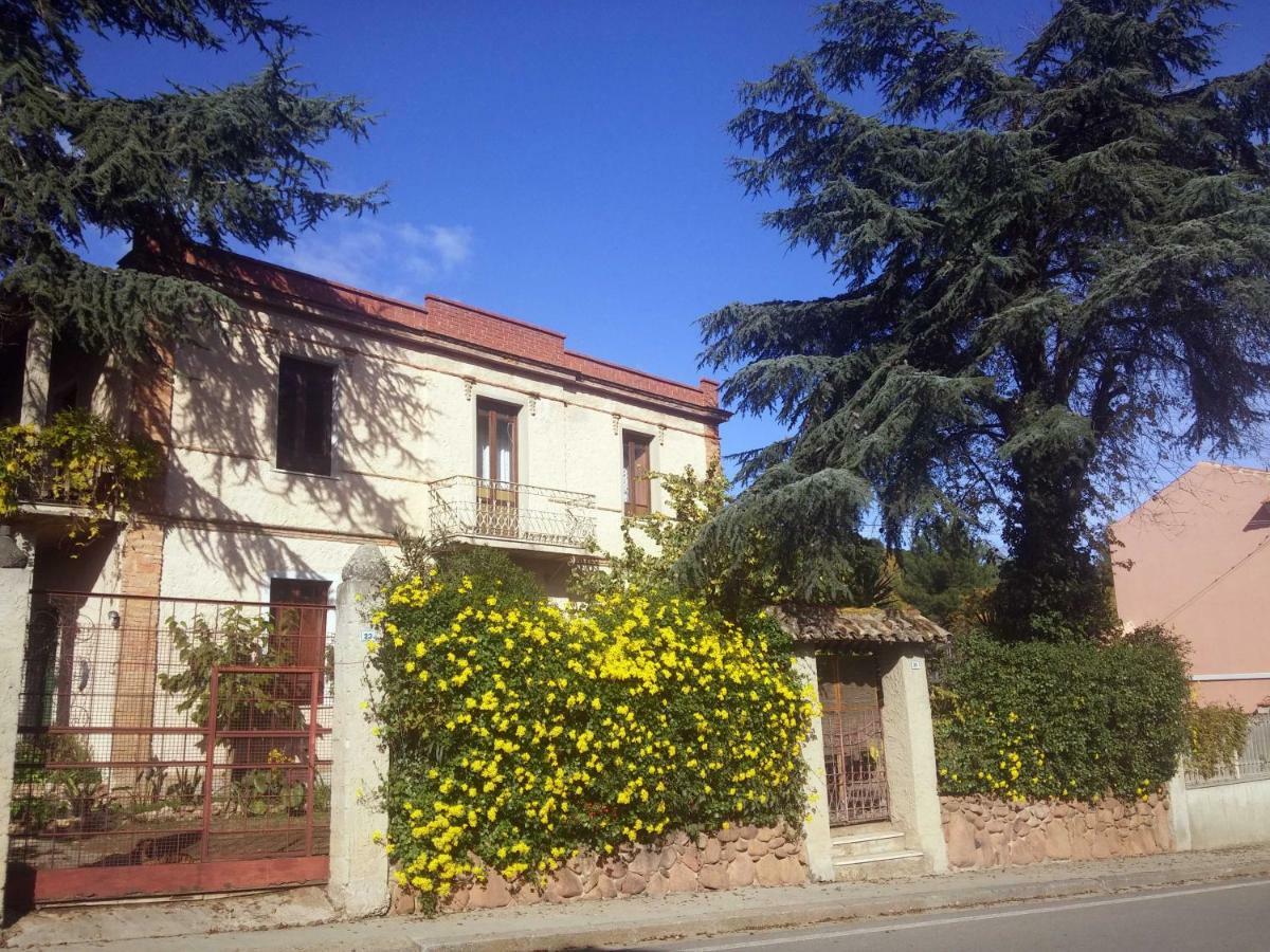 Zia Chiarina Bed & Breakfast San Nicolo Gerrei Exterior photo