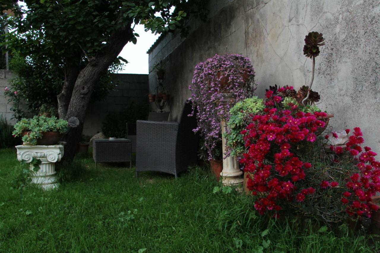 Zia Chiarina Bed & Breakfast San Nicolo Gerrei Exterior photo
